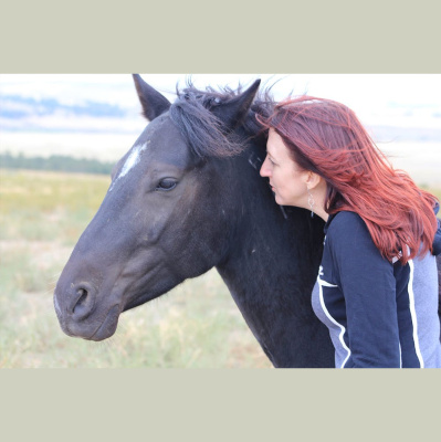 The All Creatures Podcast