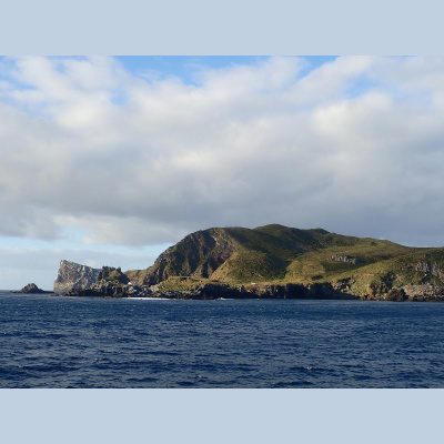 The All Creatures Podcast