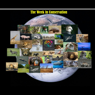 The All Creatures Podcast