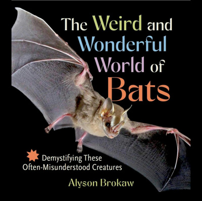 The All Creatures Podcast