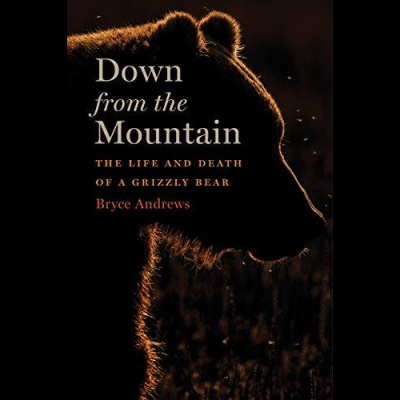 The All Creatures Podcast