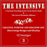 The Intensive 3: Creation, Purpose and Kingdom Life--Discerning Design and Destiny