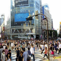 The Emerging Seven Mountain Alliance: Marketplace Kingdom Conference Call # 12