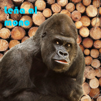 LM1018 - Todos somos gilipollas