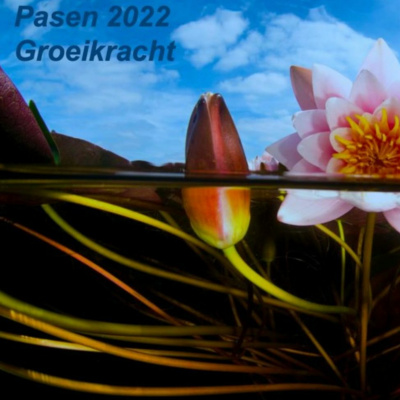 Ongekend Talent Podcast