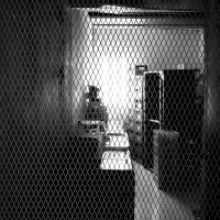 Este no es un podcast navideño