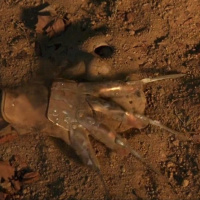 Los Harrow Pod 164: Erics 80s Slasher Journey, Evil, and More