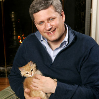 E05 World Series | Harper | Nicab Ban