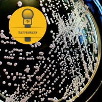 Épisode 82 | Antifongiques : pour qui et quoi surveiller?