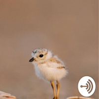 Thomas Paine Project New