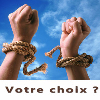 Episode 3 Salarié ou entrepreneur ?