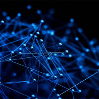 Two Quantums One Brother