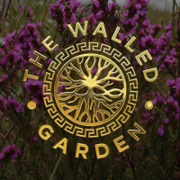 Joshua Bertolotti | Paths to Wisdom