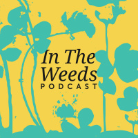 Teaser: In The Weeds Podcast