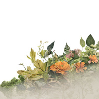 Growing Together 2 - Kensington Church Audiocast | With Shawna Schwaninger