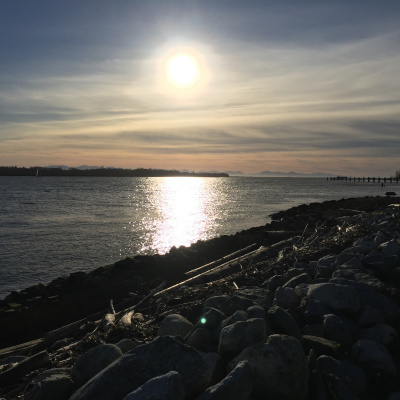 Lectures By Dr Shomali