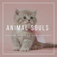 Animal Soul Contracts ft. Tammy Billups
