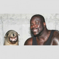 KSS-02/24/17 ( Shaq Is A Bully)