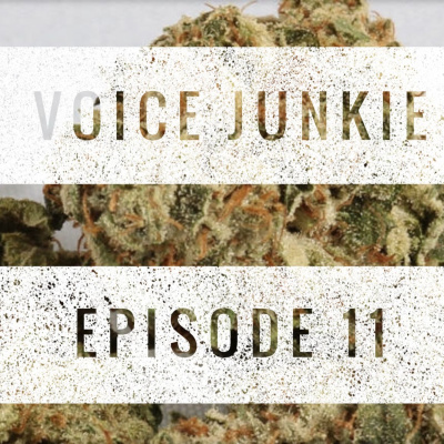 Voice Junkie