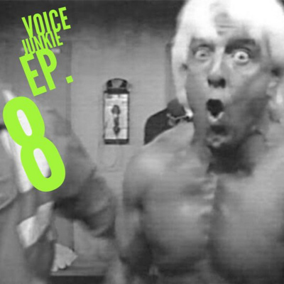Voice Junkie