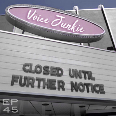 Voice Junkie
