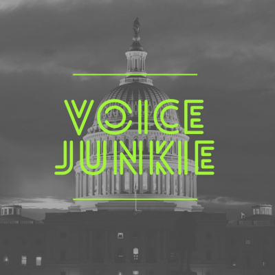 Voice Junkie