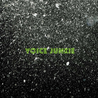 Voice Junkie