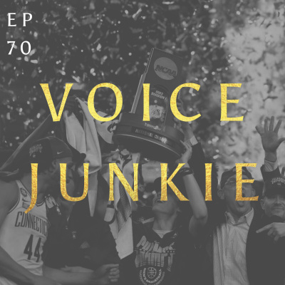 Voice Junkie