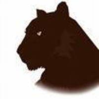 THE BLACK NOBILITY PART OF THE SECRET POWER!