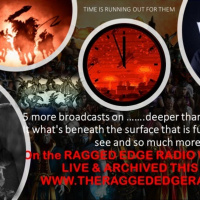 Episode 1685: SRA UPDATE PART 29 C WHAT WENT WRONG investigations news and cover up