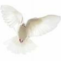 CONTRAST THE SPIRIT OF GOD with dark spirits