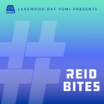 Lakewood Daf Yomi #dafbysruly Reid Bites