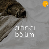  üniversite nedir? neden okunmalı?