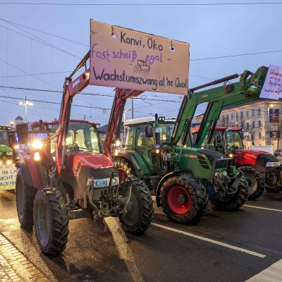Berliner Notizen: Die Hauptstadt-kolumne