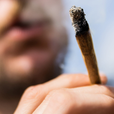 Berliner Notizen: Die Hauptstadt-kolumne