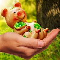 FA Consórcio Cast 001 - Piloto