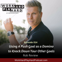 014: Using A Push Goal as a Domino to Knock Down Your Other Goals | The Robb Review