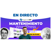 193. Mantenimiento WordPress con Modular DS y Héctor de Prada