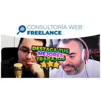 146. Consultoría web de diseñador freelance