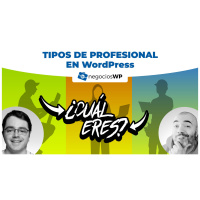 166. Tipos de profesional en WordPress