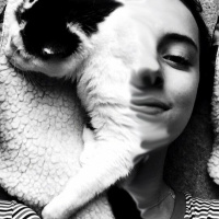 Hurd Ya Saw Episode 53 - CATS