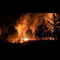 Podcast: Wildfires
