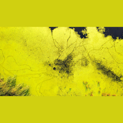 Nc States Audio Abstract