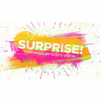 Surprised: Surprised By Gods Vision (Audio)
