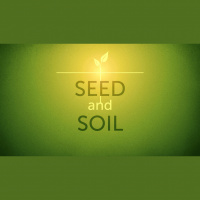 Seed And Soil (Audio)