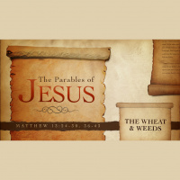 The Parables of Jesus: The Wheat  Weeds (Audio)