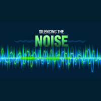 Silencing The Noise (Audio)