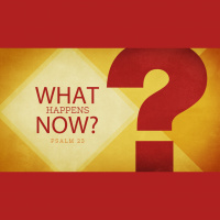 What Happens Now? (Audio)