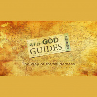The Way of the Wilderness (Audio)