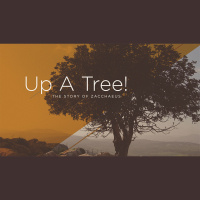 Up A Tree! (Audio)